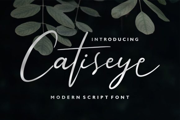 Catiseye: The Elegant Handwritten Font for Your Brand