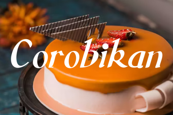Corobikan: A Handwritten Font That Elevates Campaign Typography