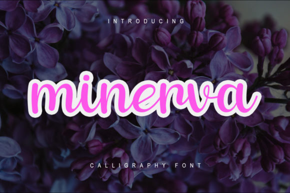 Minerva: A Playful Script Font for Campaigns