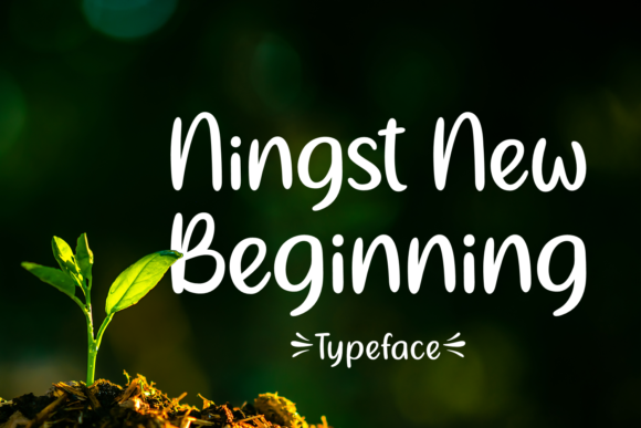 Ningst New Beginning: A Script Font for Elegant Digital Campaigns