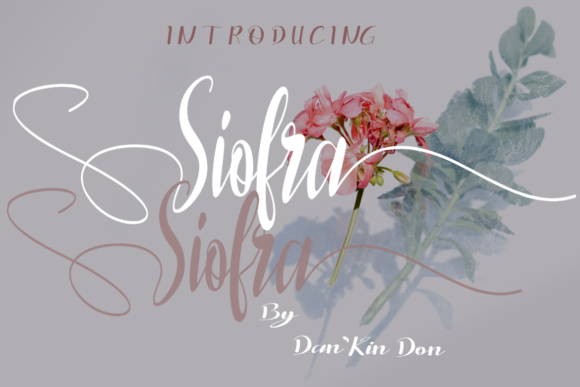 Siofra: A Premium Script Font for Modern Web Design
